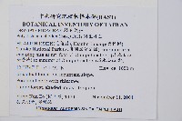 對生耳蕨藏品圖，第2張