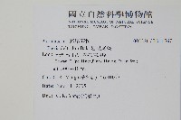 岩鳳尾蕨藏品圖，第2張