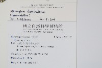 厚壁蕨藏品圖，第2張