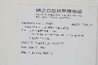 蒿蕨藏品圖，第2張