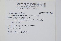 烏蕨藏品圖，第2張