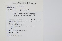 登錄號:P011587藏品圖，第2張