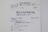 高雄卷柏藏品圖，第2張