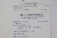 異葉卷柏藏品圖，第2張