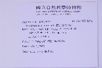 銀杏葉鐵角蕨藏品圖，第2張