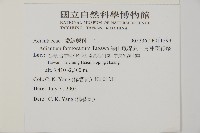 深山鐵線蕨、月芽鐵線蕨藏品圖，第2張