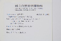 鐵角蕨藏品圖，第2張