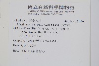 山蹄蓋蕨藏品圖，第2張