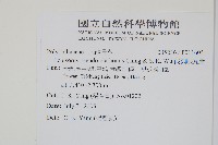 擬芨瓦葦藏品圖，第2張