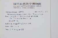 岩穴蕨藏品圖，第2張