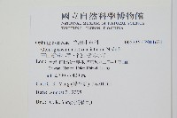 高山瓶爾小草、鈍頭瓶爾小草藏品圖，第2張