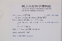 蓬萊蹄蓋蕨藏品圖，第2張