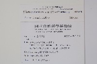 劍葉書帶蕨藏品圖，第2張