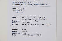 對生蹄蓋蕨藏品圖，第2張