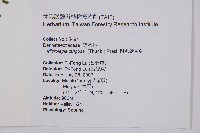 粗毛鱗蓋蕨藏品圖，第2張