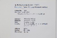 疏葉鱗毛蕨藏品圖，第2張