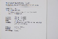 玉山擬麟毛蕨藏品圖，第1張