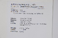 狹基鉤毛蕨藏品圖，第2張