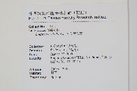 箭葉鱗始蕨藏品圖，第2張