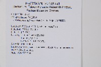 彎柄假複葉耳蕨藏品圖，第2張