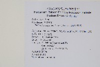 長柄粉背蕨藏品圖，第2張