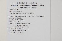 長尾鐵線蕨藏品圖，第2張