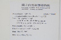 瓦葦藏品圖，第2張