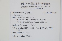 岩蕨藏品圖，第2張