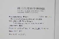 蕗蕨藏品圖，第2張