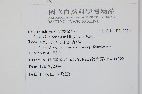 大武禾葉蕨藏品圖，第2張