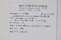 粵瓦葦藏品圖，第2張