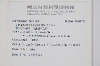 樸氏雙蓋蕨、毛柄蹄蓋蕨藏品圖，第2張