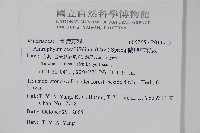 蘭嶼車前蕨藏品圖，第2張