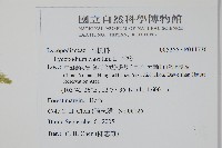 石松藏品圖，第2張