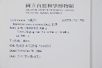 木賊藏品圖，第2張