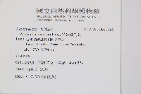 鋸齒雙蓋蕨、線葉雙蓋蕨、刺鱗雙蓋蕨藏品圖，第2張