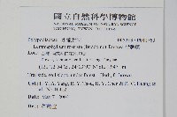 骨牌蕨藏品圖，第2張