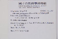 山蹄蓋蕨藏品圖，第2張