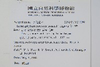 骨牌蕨藏品圖，第2張