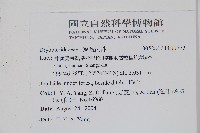 登錄號:P011773藏品圖，第2張