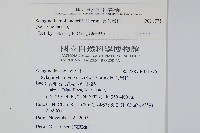 異葉卷柏藏品圖，第2張