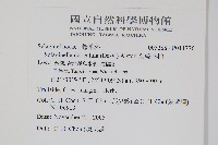 全緣卷柏藏品圖，第2張