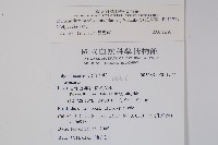波氏星蕨藏品圖，第2張