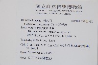 稀子蕨藏品圖，第2張