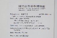 波氏星蕨藏品圖，第2張