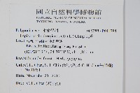 瓦葦藏品圖，第2張