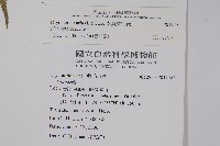 南海鱗毛蕨藏品圖，第2張