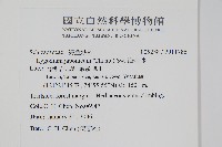 海金沙藏品圖，第2張