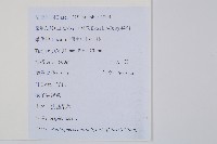 狹基巢蕨藏品圖，第2張