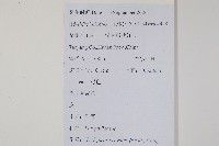 盾蕨藏品圖，第2張